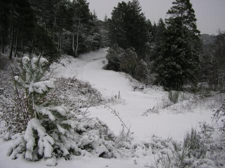 Vers la route des Bousquets