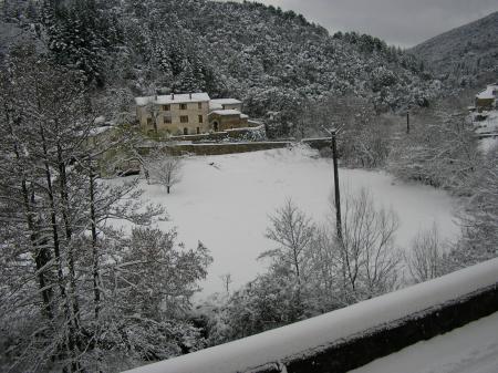 Vue vers le pré du Mas du Chêne