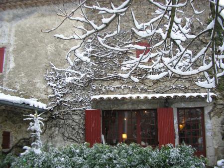 Marronnier face à l'entrée des Monteil