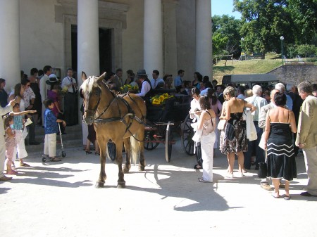 Une voiture à cheval !?